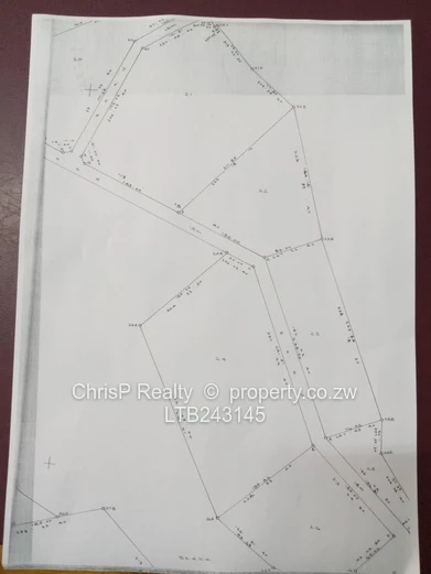 Mlibizi  Resort  (Sole Mandate)