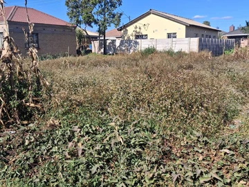 Stands & Residential Land