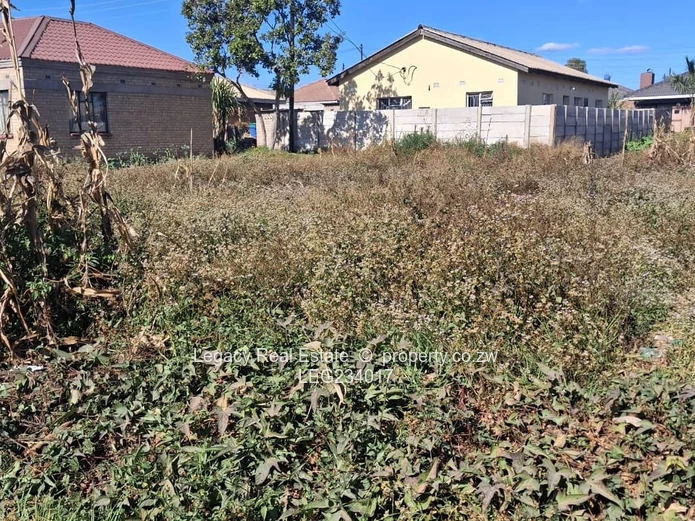 Ruwa Stands for Sale – Cranbrook Side