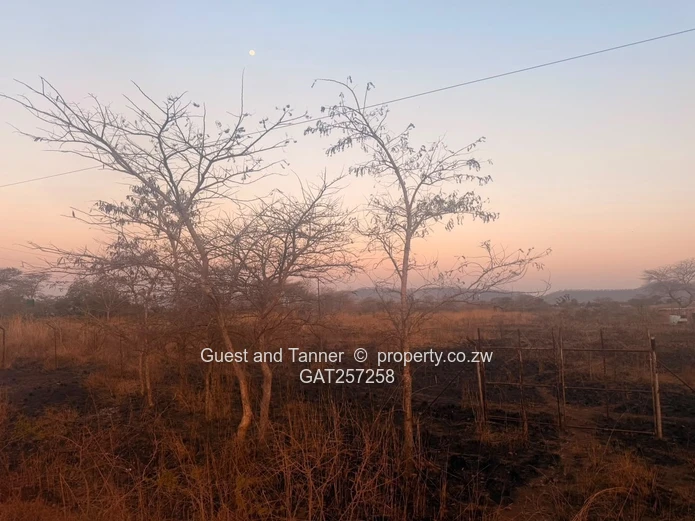 7,467Sqm Stand With Two Boreholes | Norton, Galloway
