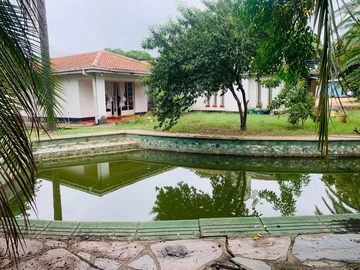 Shop & Retail Property