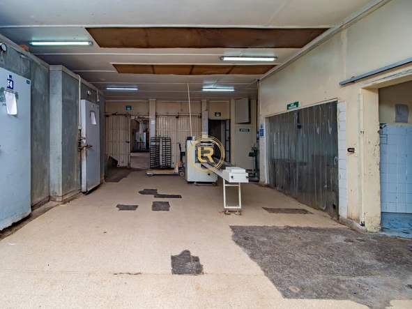 Shop & Retail Property