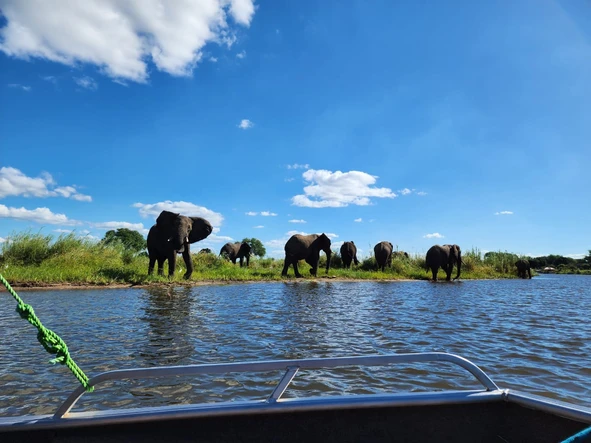 Commercial & Industrial Land