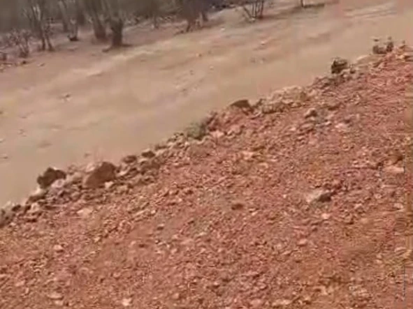 Farm & Agricultural Land