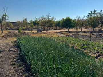 Farm & Agricultural Land