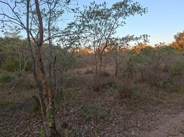 Farm & Agricultural Land