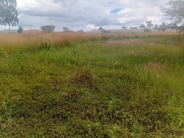 Commercial & Industrial Land