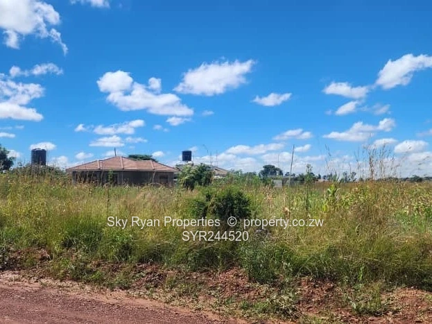 Spitzkop Stands For Sale