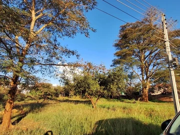 Stands & Residential Land