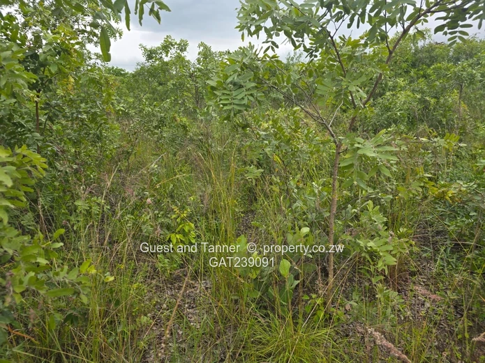 2159sqm Marondera low density residential stand for sale