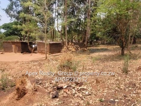 Gletwyn Stand For Sale