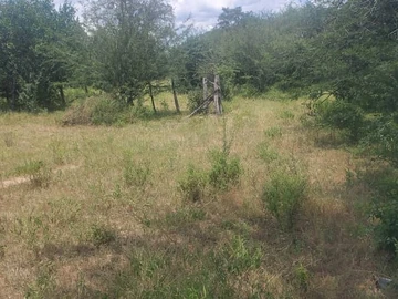 Farm & Agricultural Land