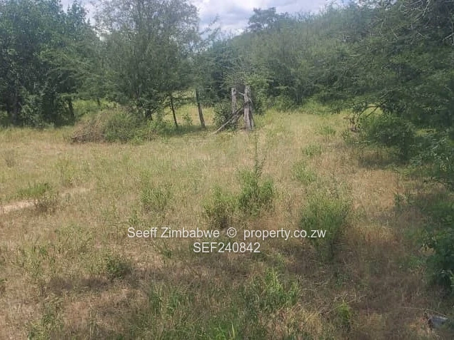 Prime Agricultural Land for Sale in Masvingo 