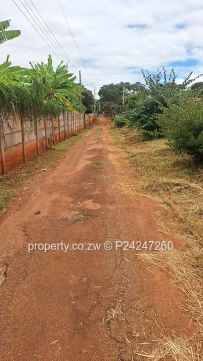 Quinnington, Helensvale 135K