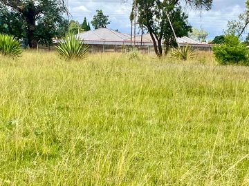 Stands & Residential Land