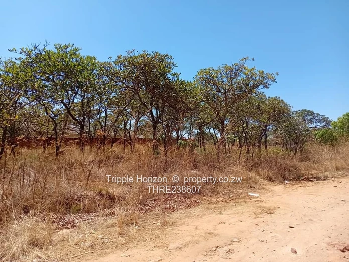 1000sqm  residential stand for sale in Crowhill Harare North. (Sole Mandate)