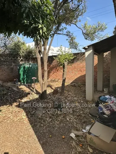 Immaculate, Prime CBD Offices