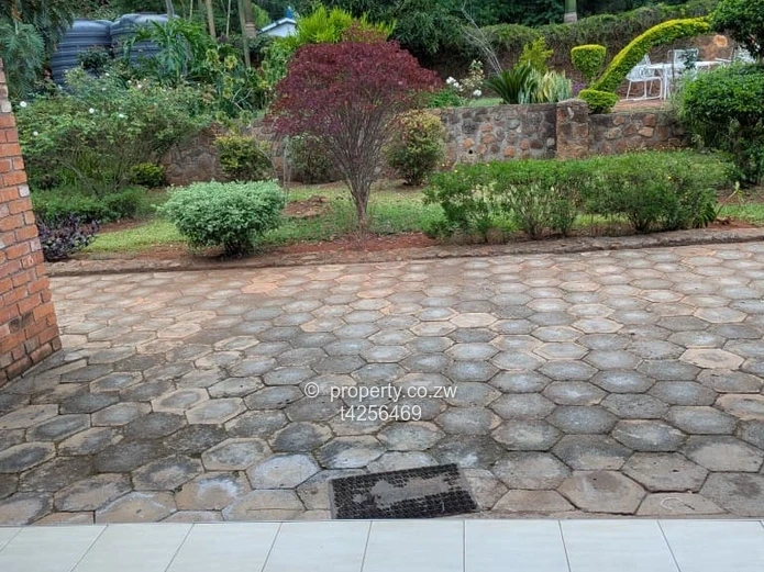 Greystone park 1 bedroom apartment to rent 