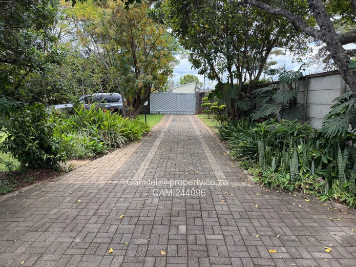 Parquet-floored Furnished 3-Bed Home w/Borehole — Alexandra Park