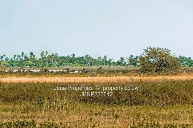 Gweru 4.5 Ha. Plot 