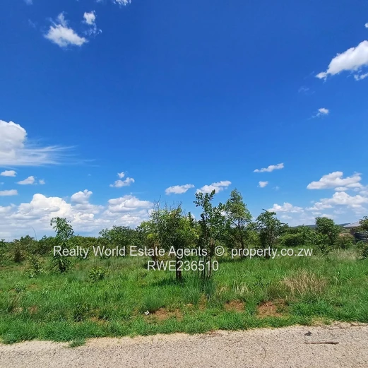 Masvingo Clipsham Stand For A School 