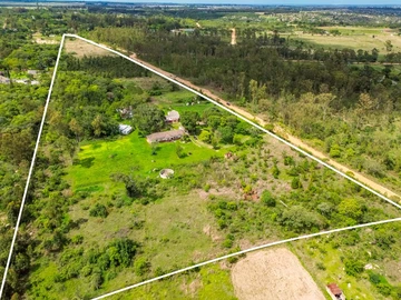 Farm & Agricultural Land