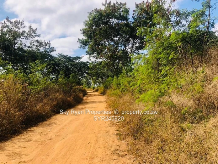 Bindura Poperty For Sale