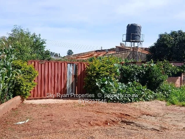 Cold Comfort Stand For Sale 