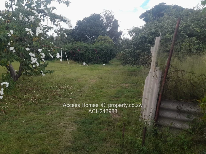 Hatfield Stand for Sale