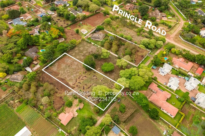 Vacant Title Stand in Good Location