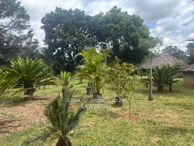 Potential for a great development !