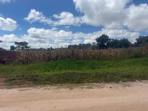 Stands & Residential Land