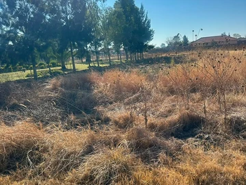 Stands & Residential Land