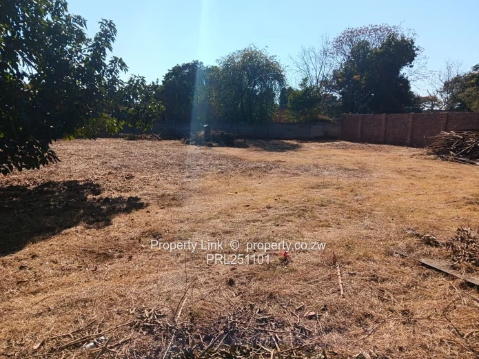 Secure Walled 2000m² Northwood Stand with Borehole & Staff Accommodation
