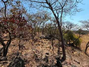 Commercial & Industrial Land