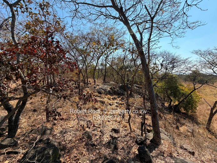 1.56ha at Darwendale with Lake View