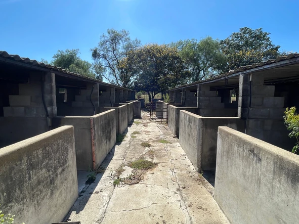 Farm & Agricultural Land