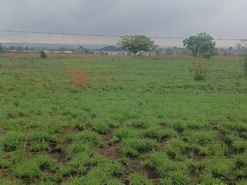 Farm & Agricultural Land