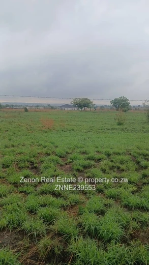 Rainham Plots for sale ,1ha for 43k.