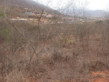 Farm & Agricultural Land