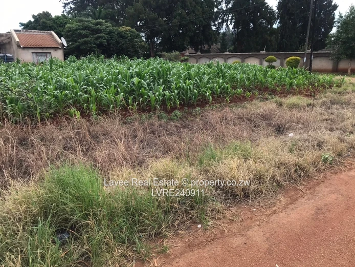 Space, Serenity, and Suburban Bliss on 3,100sqm in Mount Pleasant Heights