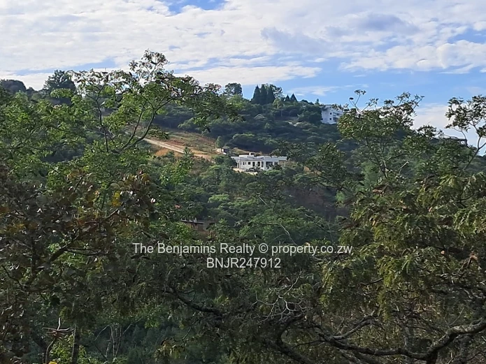 Scenic views in Glen Lorne