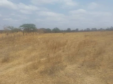 Farm & Agricultural Land