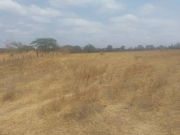 Farm & Agricultural Land