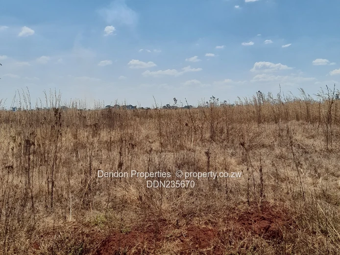 Build your dream home  (Sole Mandate)