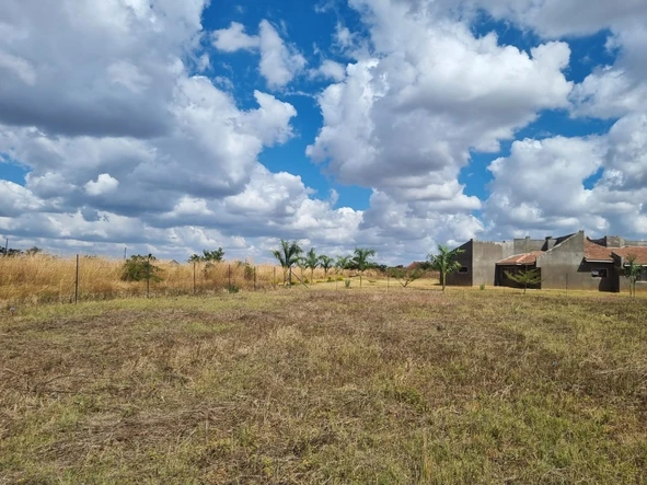 Stands & Residential Land
