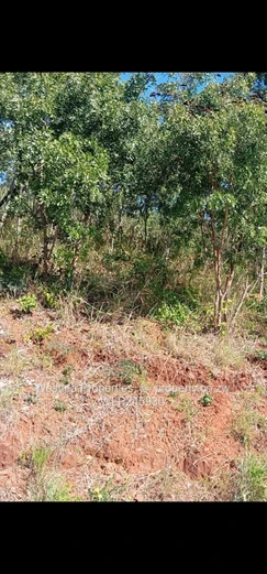 An opportunity not to miss