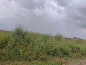 Commercial & Industrial Land