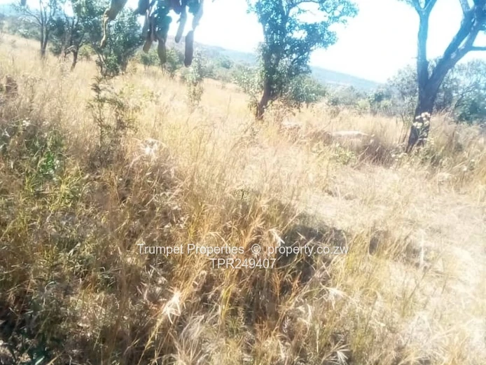 21ha Goromonzi Farm for Rent - Open Veld & Scattered Trees (Sole Mandate)