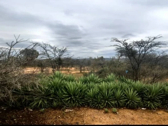 Farm & Agricultural Land